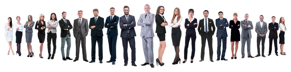 Fototapeta na wymiar panoramic photo of a professional numerous business team