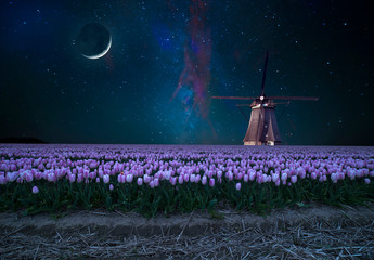 Night field of tulips and windmill. Landscape with stars and flowers. Traditional Holland view