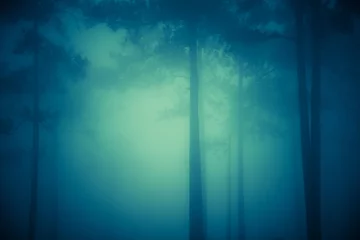 Afwasbaar Fotobehang Blauwgroen Dromerig landschap met het silhouet van pijnbomen en mistig, Magisch blauw landschap met mistig en licht