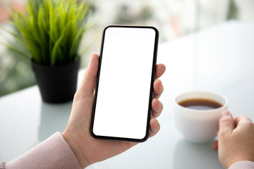 female hands holding phone with isolated screen in summer cafe