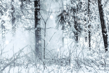 Forest during a big snowfall. Winter landscape