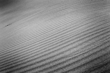 Sand Dunes Forming Diagonal Pattern