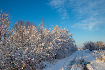 winter landscape with trees and blue sky