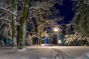 Park Planty zasypany śniegiem, Białystok, Polska