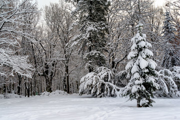 Park Planty zasypany śniegiem, Białystok, Polska © podlaski49