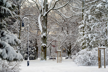 Park Planty zasypany śniegiem, Białystok, Polska © podlaski49
