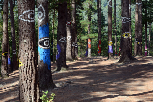 Bosque de Oma in Spain