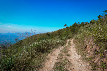 dirt road side / dirt road field on hill to mountain - Rural dusty countryside road