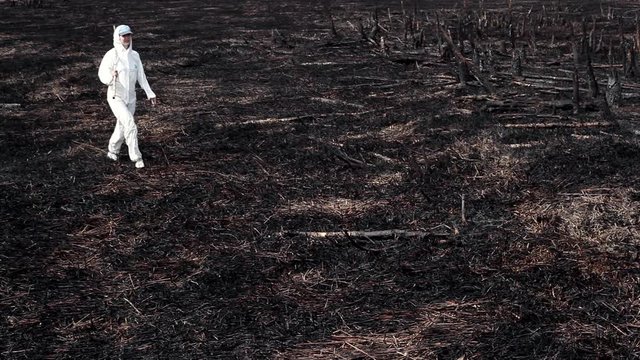 Earth after a fire/Natural disaster. A woman with a bottle of water walks along the land burned by fire. There are dead trees, burned grass around her. It's an ecological catastrophe