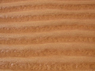 Cape Cod sand ripples