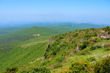 제주에 있는 한라산의 봄 풍경이다.