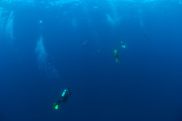 Fototapeta na wymiar Scuba Divers in clear blue water diving into the deep