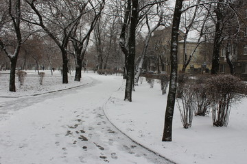 covered with a snow blanket walkway in the city square