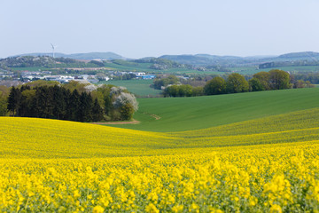 Frühlingserwachen im April, Deutschland