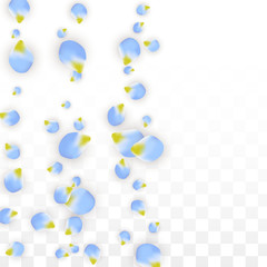 Vector Realistic Blue Petals Falling on Transparent Background.  Spring Romantic Flowers Illustration. Flying Petals. Sakura Spa Design. Blossom Confetti.