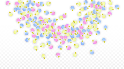 Vector Realistic Colorful Petals Falling on Transparent Background.  Spring Romantic Flowers Illustration. Flying Petals. Sakura Spa Design. Blossom Confetti. Design Elements for Wedding Decoration.