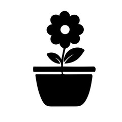 flower pot