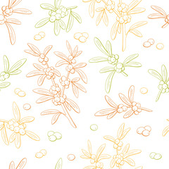 Sea buckthorn berry graphic color seamless pattern sketch background illustration vector
