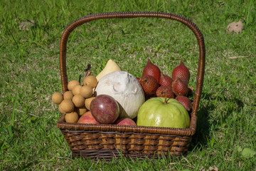 Plenty of tropical fruits in the basket on the green lawn in the garden