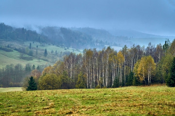 A beautiful mysterious view of the forest in the Bieszczady mountains (Poland) on a misty autumn day