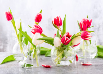 Pink and white tulips in glass vases on the light gray background. A gift for woman's day. Greeting card for mother's day.