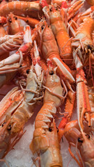 Pink fresh frozen shrimps with ice in a supermarket or fish shop. Uncooked seafood close up background. Fresh frozen prawns, delicacies, sea food concept, close up.