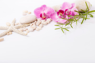 Fototapeta na wymiar Spa background with stones and purple orchid isolated on white