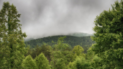 "Living in Clouds" ZDS Blue Ridge Mountains Collection