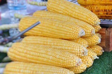 Boiled corn at street food