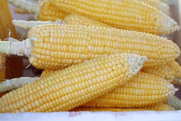 Boiled corn at street food