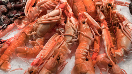 Pink fresh frozen shrimps with ice in a supermarket or fish shop. Uncooked seafood close up background. Fresh frozen prawns, delicacies, sea food concept, close up.