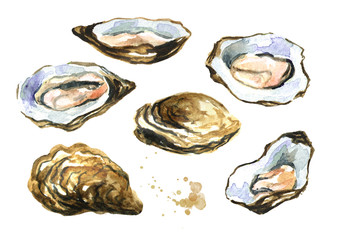 Oyster shell, seafood set. Watercolor hand drawn illustration isolated on white background