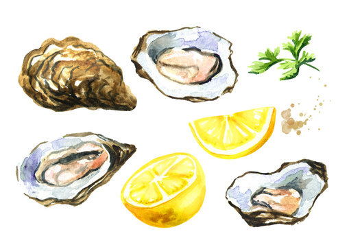Oyster shells with lemon, seafood set. Watercolor hand drawn illustration isolated on white background