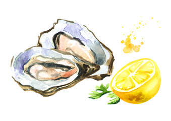 Oyster with lemon, seafood. Watercolor hand drawn illustration, isolated on white background
