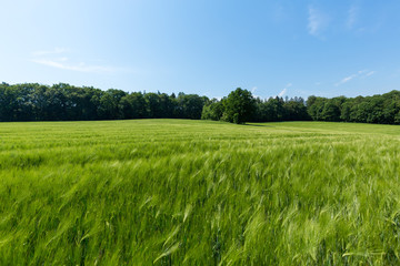 Fototapeta premium Foto 2018 von www.ChristianSchwier.de