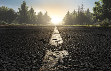 Landstraße im Morgennebel