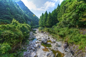 Fototapeta na wymiar 荒々しい雰囲気の夏の渓谷