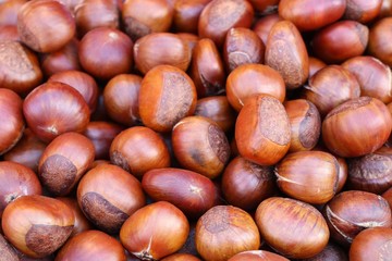 chestnuts seed at street food