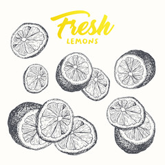 Fresh lemons vector banner template. Sketch fruit clipart. Sliced lemons engraving style drawing. Handwritten calligraphy, lettering. Isolated set citrus color design element. Shop sign, store logo