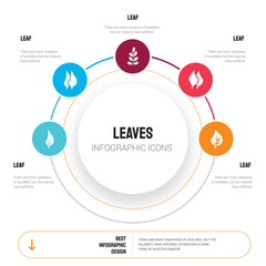 Abstract infographics of leaves template. leaf, leaf icons can be used for workflow layout, diagram, business step options, banner, web design.
