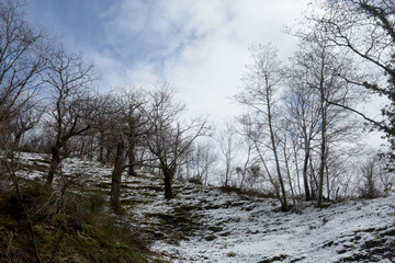 Paesaggio montano innevato, in Campania, Sud Italia. Gennaio 2019.