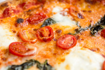 Delicious italian style pizza with tomatoes, mozarella and basil.