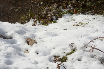 Paesaggio montano innevato, in Campania, Sud Italia. Gennaio 2019.