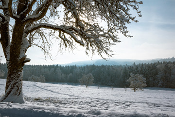 Winterlandschaft 