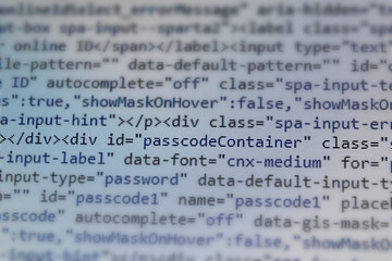 Fototapeta premium Webpage code with the word 