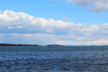 Obraz premium seagulls and ducks. Bird flies over the lake. beautiful landscape, lake, sky with clouds