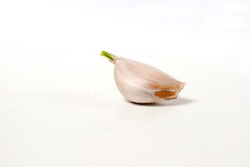 A clove of Garlic with sprout