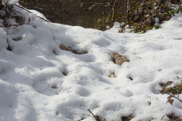 Paesaggio montano innevato, in Campania, Sud Italia. Gennaio 2019.
