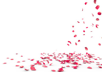 Many rose petals fall on the floor