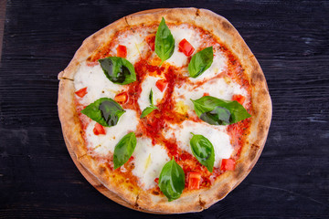 Pizza Margarita with a basil, an oregano, mozzarella and sauce
